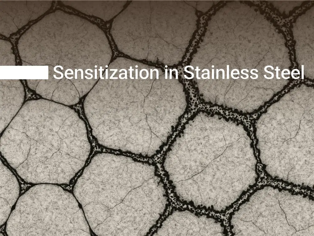 حساس شدگی- حساس شدن